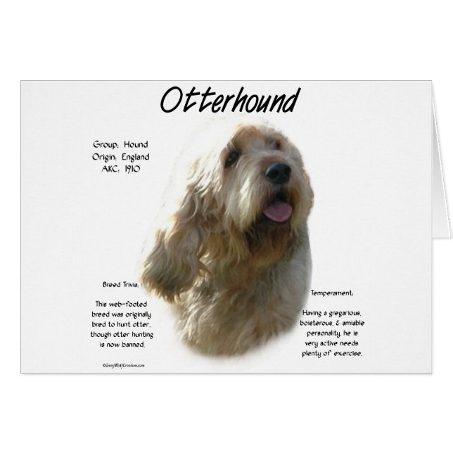 Otterhound Geschiedenis Ontwerp (Voorkant Horizontaal)