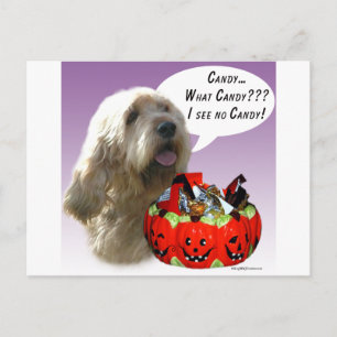Otterhound Halloween-Snoep Briefkaart