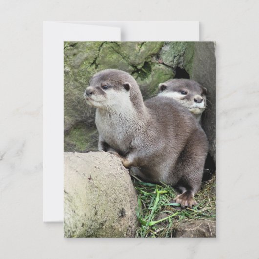 OTTERINVITATIE (Voorkant)