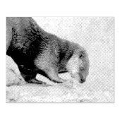 Otterkegelvormig Rubberstempel (Afrduk)