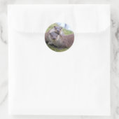 Otterly in Love Sticker (Tas)