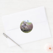 Otterly in Love Sticker (Envelop)