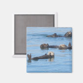 ottermagneet magneet (Voorkant / Achterkant)