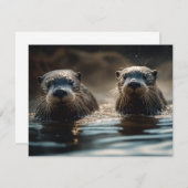 Otters (Voorkant / Achterkant)