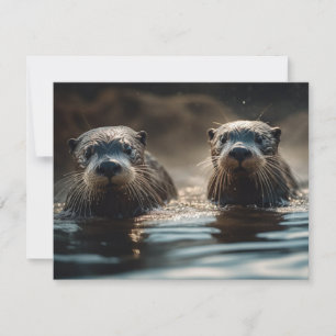 Otters