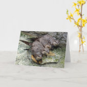Otters 4 dans une rangée Carte de voeux (Fleur jaune)
