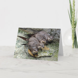 Otters 4 dans une rangée Carte de voeux