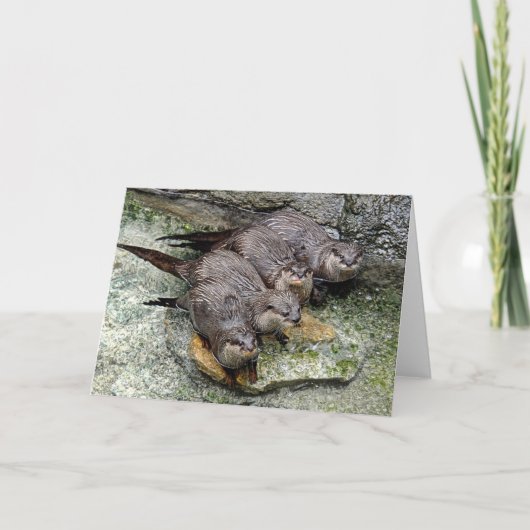 Otters 4 dans une rangée Carte de voeux (Devant)