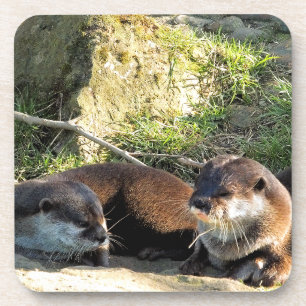 OTTERS BIER ONDERZETTER