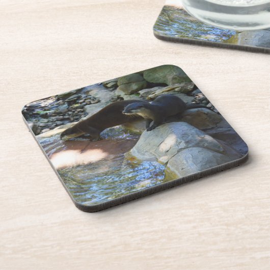 Otters Boire, Dessous de verre (Côté gauche)