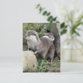 OTTERS BRIEFKAART (Staand voorkant)
