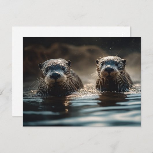 Otters Briefkaart (Voorkant / Achterkant)