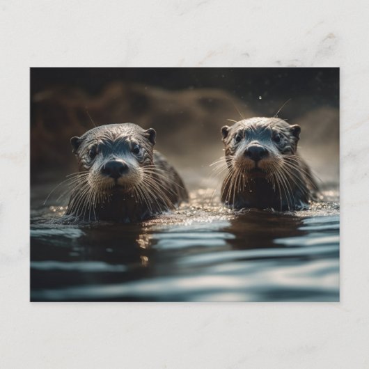 Otters Briefkaart (Voorkant)