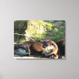 OTTERS CANVAS AFDRUK
