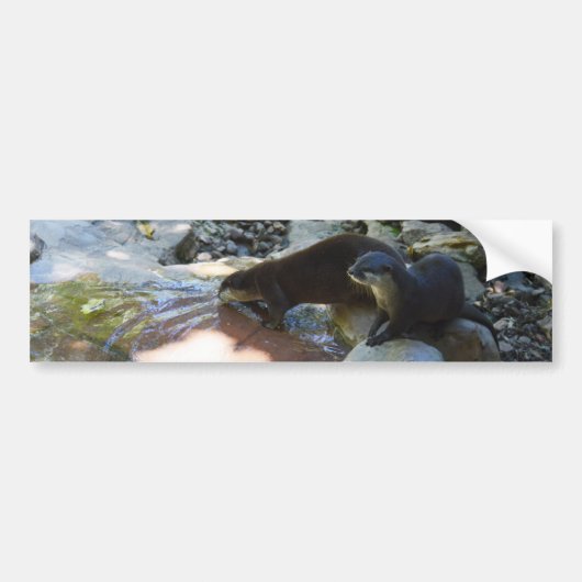 otters Drink, Bumpersticker (Voorkant)