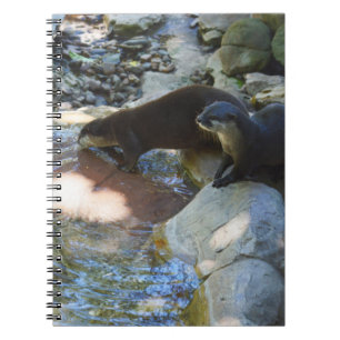 otters Drink, Notitieboek