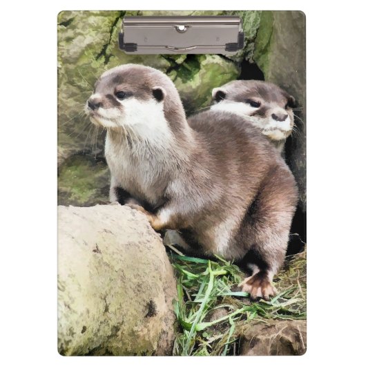 OTTERS KLEMBORD (Voorkant)