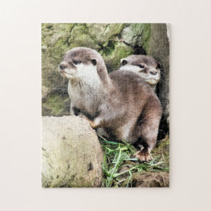 OTTERS LEGPUZZEL