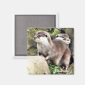 OTTERS MAGNEET (Voorkant / Achterkant)