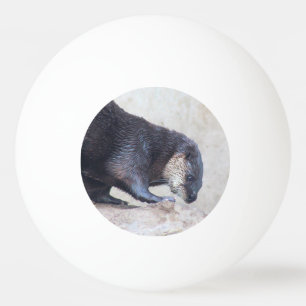 otters pingpongballen