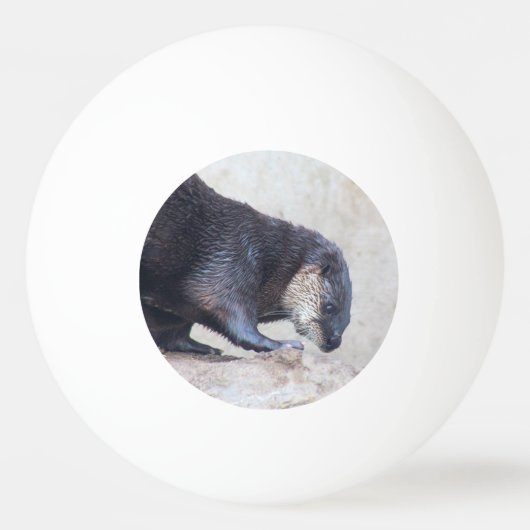 otters pingpongballen (Voorkant)