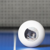 otters pingpongballen (Net)