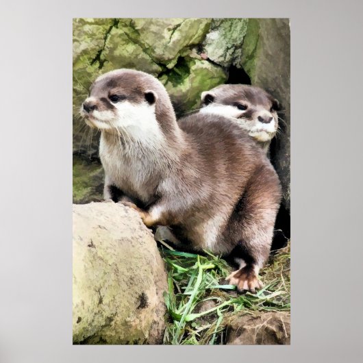 OTTERS POSTER (Voorkant)