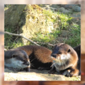 OTTERS RAAMSTICKER (Vel 2)