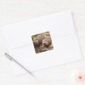 Otters sticker (Envelop)