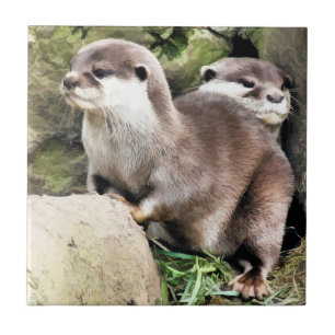OTTERS TEGELTJE