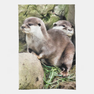 OTTERS THEEDOEK