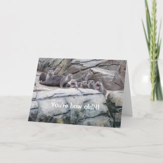 Otters verjaardagskaart kaart