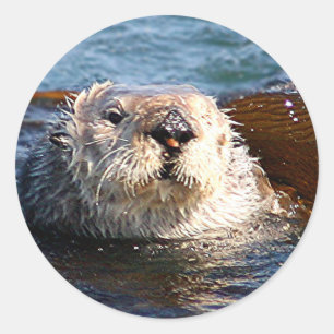 ottersticker ronde sticker