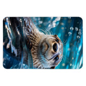 otterzwemmen magneet (Horizontaal)