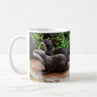 Ottly tot Schattige, otter, witte koffie Mok