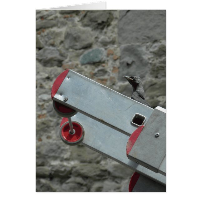 Où est le feu ? (Devant)