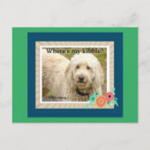 Où est Ma Kibble, Carte Postale Bonjour (Devant)