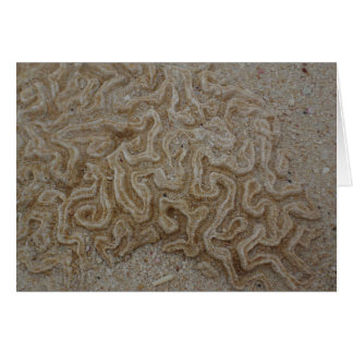 Où est votre cerveau ?