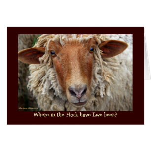 Où Ewe était dans le troupeau ?