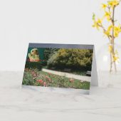 Où suis-je ? Carte #4b (Fleur jaune)