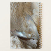 Où vais-je porter mes perles aujourd'hui élégante (Dos)