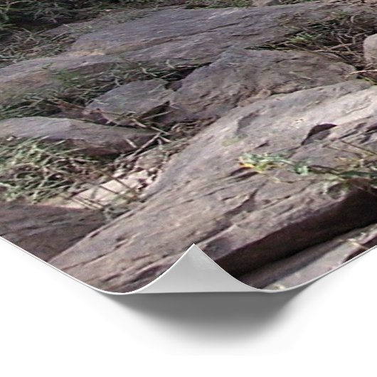 Ouachita River in Oden, Arkansas Poster (Hoek)