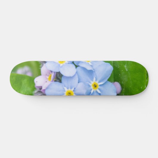 Oublie-moi-non, Skateboard (Horz)