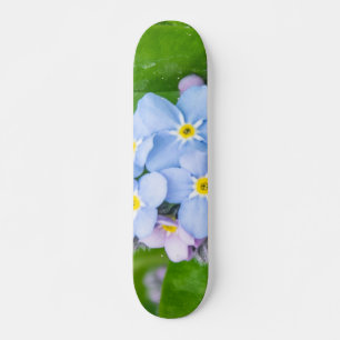 Oublie-moi-non, Skateboard