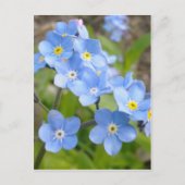 Oublie-moi pas carte postale (Devant)