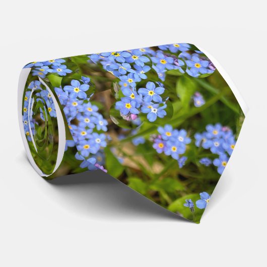 oublie-moi pas cravate (Roulé)