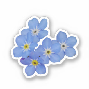 Oublie-moi pas Sticker