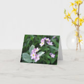 Oubliez-moi la carte (Fleur jaune)