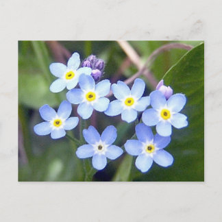 Oubliez-moi les cartes postales 2