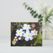 Oubliez-moi les notes 1 carte postale (Debout devant)